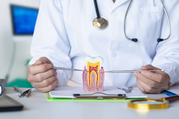 Dentist for Dental Trauma in SC